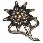 FEDERAL ARMED FORCES badge
