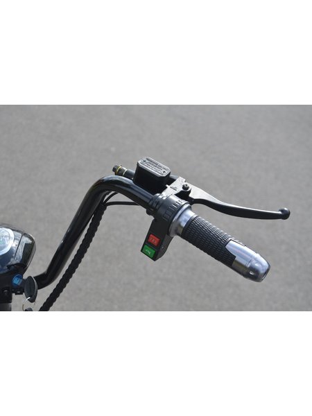 Coco Bike Fat E-Scooter bis zu 40 km/h schnell - 35km Reichweite, 60V | 1000W | 12AH Akku, Bremsen und Licht