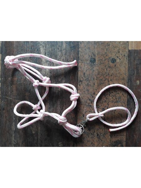 Knotenhalfter mit Führstrick Pink/Weiß