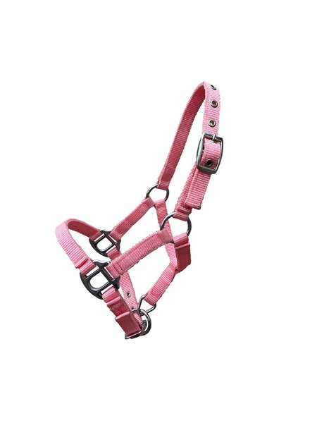 Miniline 2 Minishetty Fohlen-Jährling pink Nylonhalfter ''Petit'' Gr 