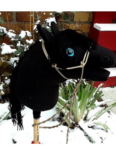 Hobby Horse Steckenpferd Schwarz mit Schwarzer Mähne und Weiß Strähne Handarbeit Unikat